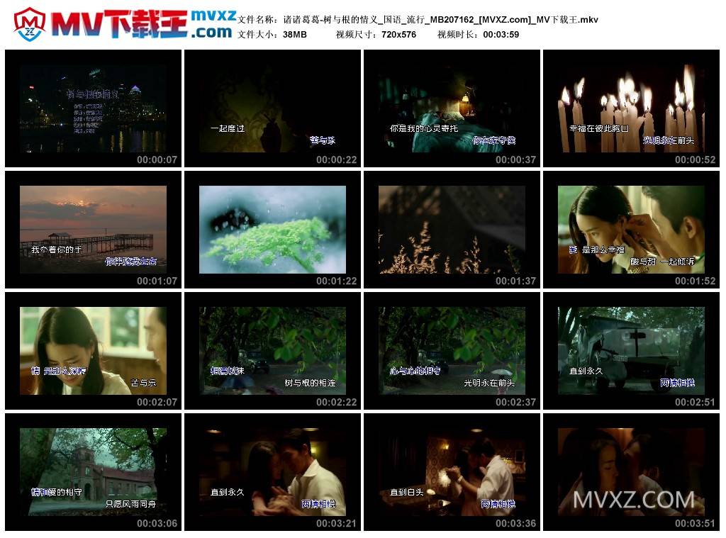 诸诸葛葛-树与根的情义_国语_流行_MB207162